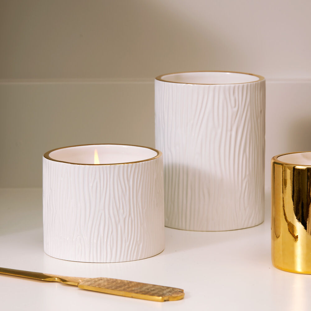 Thymes Frasier Fir Gilded Collection Gold 3-Wick Ceramic Candle | James  Anthony Collection