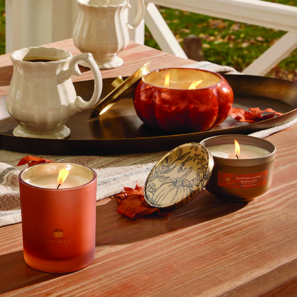 Thymes Pumpkin Laurel Poured Candle – Willow & Birch Uprooted