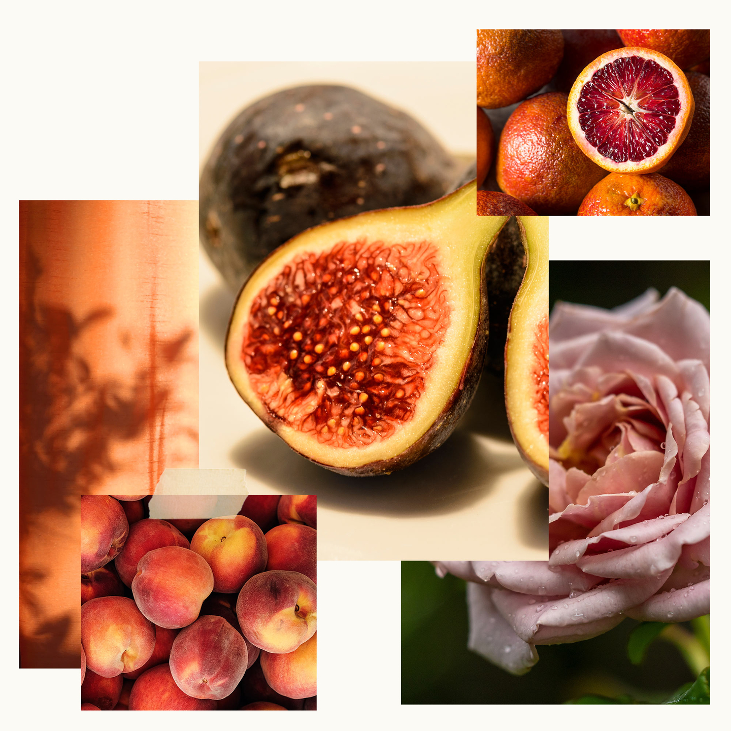 Riviera Fig Fragrance Experience