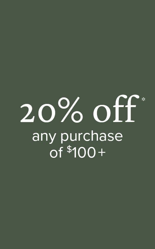 20% off any purchase of $100+