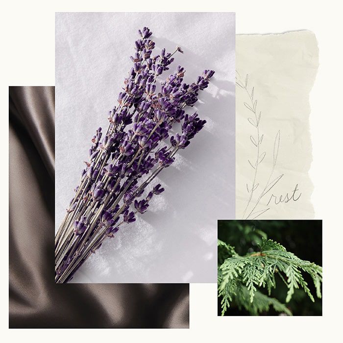 Lavender Cedar Fragrance Experience