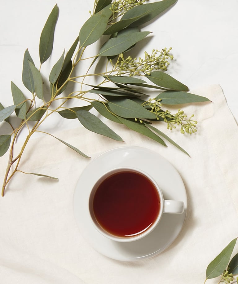 Eucalyptus White Tea