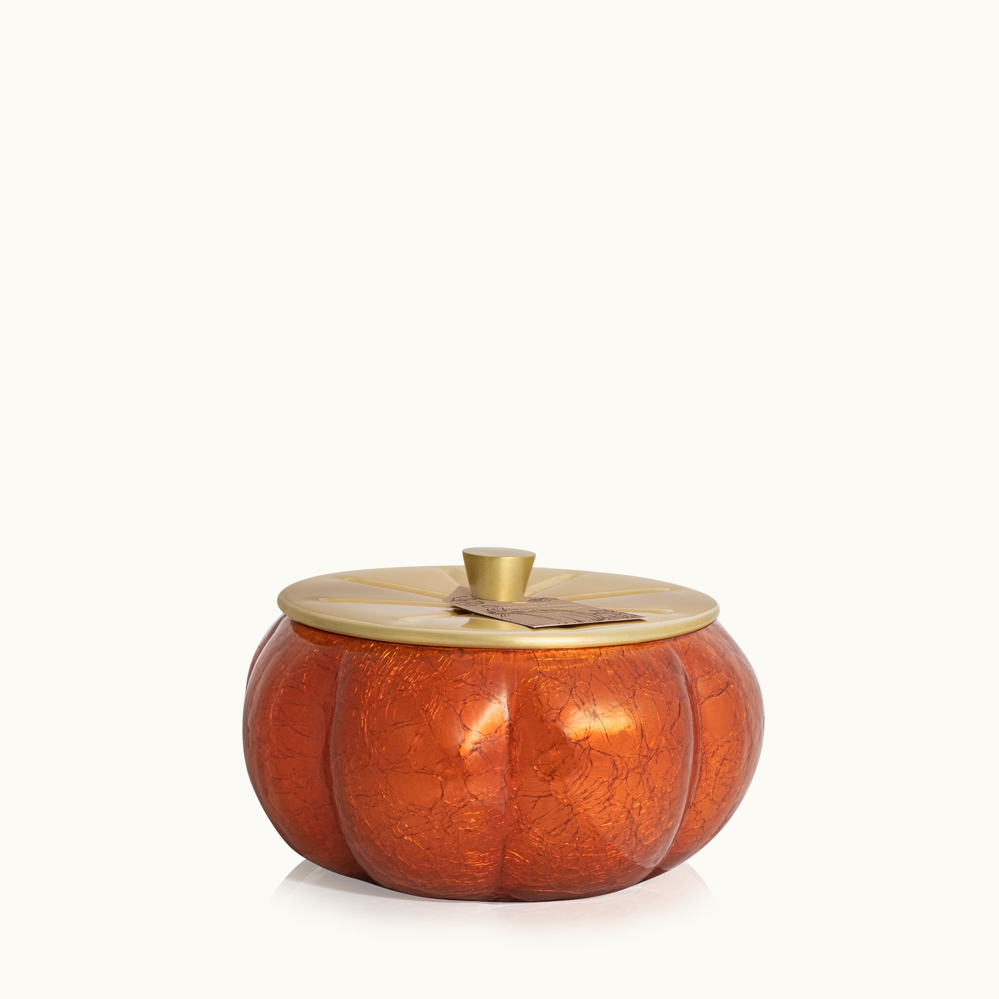 Thymes Pumpkin Laurel Poured Candle – Willow & Birch Uprooted