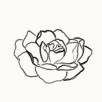 Floral Fragrance Icon